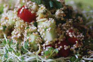tabule p