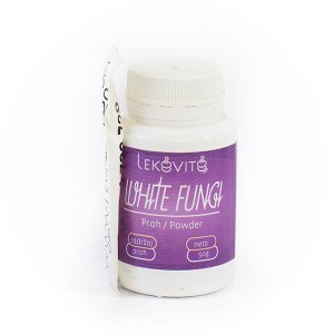 Lekovito-white-fungi