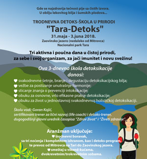 detokseminar